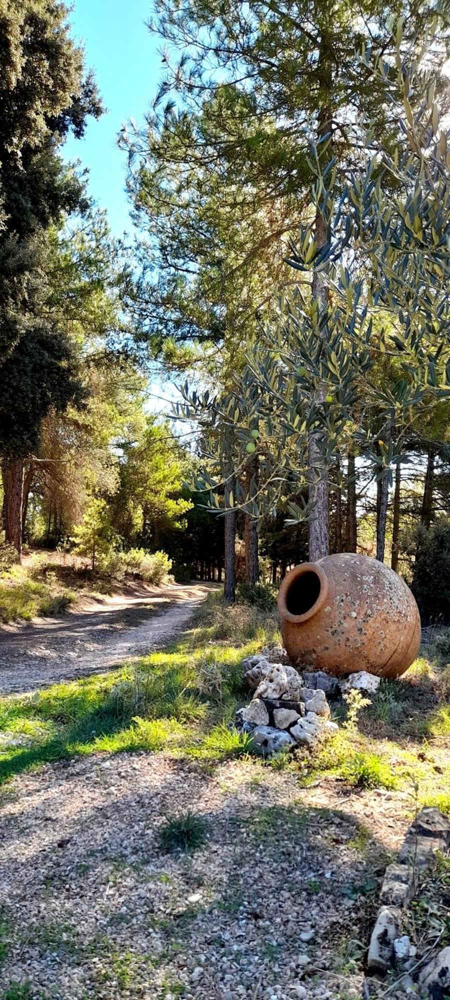 Villa Sanz Cuenca  Exterior photo